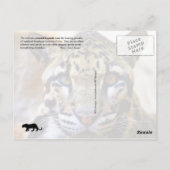 Gedrukte luipsplaat briefkaart (Achterkant)