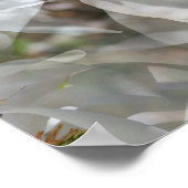 Gedrukte White Magnolia Floral Print (Hoek)