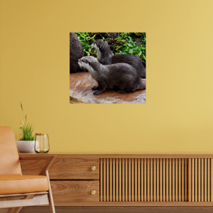 *Geduld aan het water: twee kleine grijze otters Poster