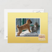 Geduld, Grasshopper. Briefkaart (Voorkant / Achterkant)