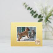 Geduld, Grasshopper. Briefkaart (Staand voorkant)