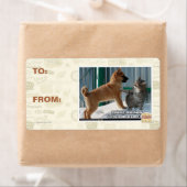 Geduld, Grasshopper. Etiket (Insitu)