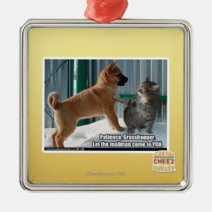 Geduld, Grasshopper. Metalen Ornament