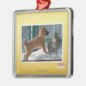 Geduld, Grasshopper. Metalen Ornament (Links)