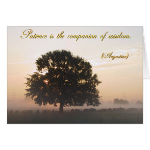 Geduld is de metgezel van wijsheid