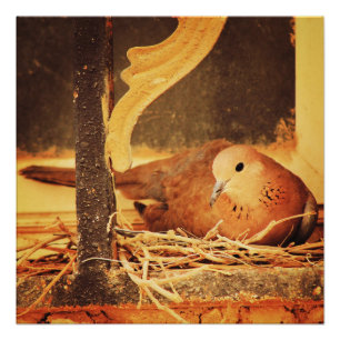 Geduld Perfect Poster