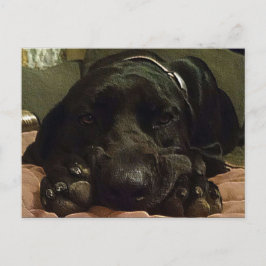 geduldig wachten briefkaart