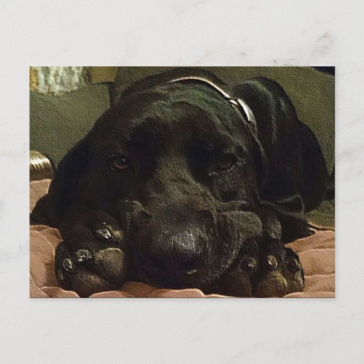 geduldig wachten briefkaart (Voorkant)