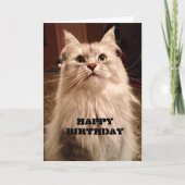 Geduldig wachten op verjaardagstaart Kaart (Voorkant)