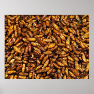 Gedwongen zijderupsen ... Thai Street Food Poster