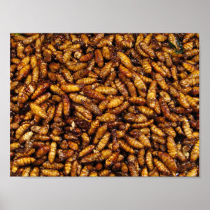 Gedwongen zijderupsen ... Thai Street Food Poster