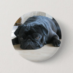 Geef de naam van het schattige zwarte Pug Puppy ac Ronde Button 5,7 Cm