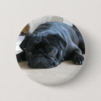 Geef de naam van het schattige zwarte Pug Puppy ac Ronde Button 5,7 Cm