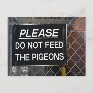 Geef de Pigeons New York City niet meer. Briefkaart