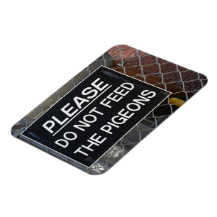 Geef de Pigeons New York City niet meer. Magneet