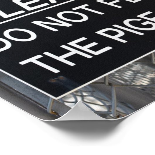 Geef de Pigeons New York City niet meer. Poster (Hoek)