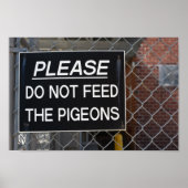 Geef de Pigeons New York City niet meer. Poster (Voorkant)