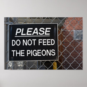 Geef de Pigeons New York City niet meer. Poster