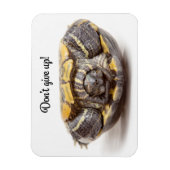 Geef de Turtle Enmoegement niet op Magneet (Verticaal)