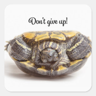 Geef de Turtle Enmoegement niet op Vierkante Sticker