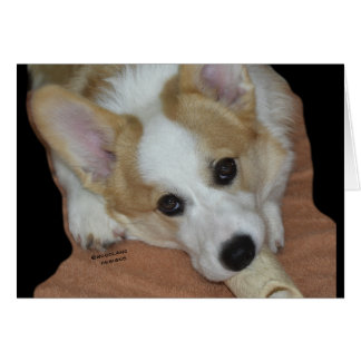Geef een hond een Bone~Corgi Puppy Card