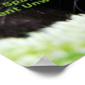 Geef je kat door poster (Hoek)