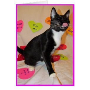 Geef me een grote kus - Kat Valentijnsdag Kaart