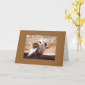 Geef me een kus kaart (Gele Bloem)