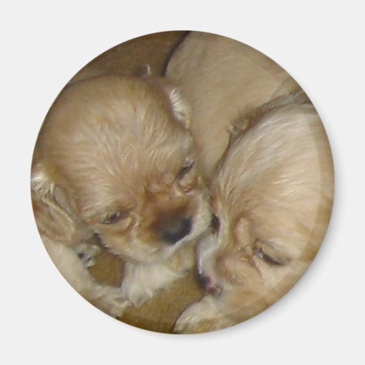 Geef me een kus magneet (Voorkant)