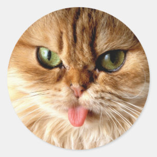 Geef me een lepel ronde sticker