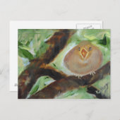 Geef me het voer! briefkaart (Voorkant / Achterkant)