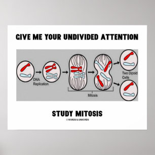 Geef me uw onverdeelde aandacht onderzoek Mitose Poster