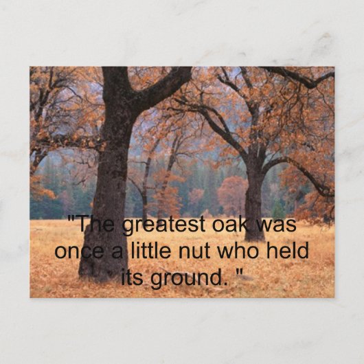 Geef niet op briefkaart (Voorkant)