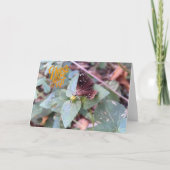 Geef nooit het Wenskaart van een blanco vlinder op Kaart (Voorkant)