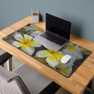 Geel Amerikaanse Bloem, Plumeria Fotografie Bureaumat