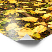 GEEL AUTUMN VERLATEN FOTO AFDRUK (Hoek)