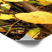 GEEL AUTUMN VERLATEN POSTER (Hoek)