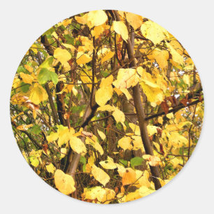 GEEL AUTUMN VERLATEN RONDE STICKER