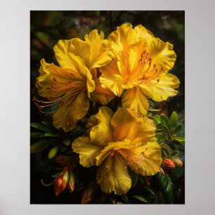 Geel Azalea Flowers Art Print Poster