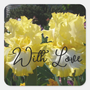 Geel Baard Iris Irissen Bloemen Bloemen Liefde Vierkante Sticker