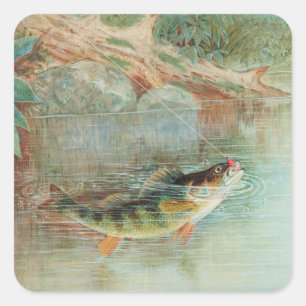 Geel Baars door S.A. Kilbourne, Vintage Vis Vierkante Sticker