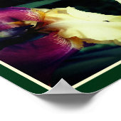 Geel Bearded Iris Flower Abstract Poster (Hoek)