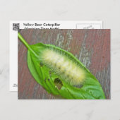 Geel Beer Caterpipe Virginiaanse tijger moth Items Briefkaart (Voorkant / Achterkant)