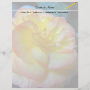 geel Begonia bloem