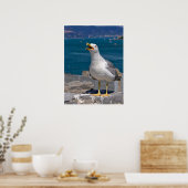 Geel-beige meeuw op rots poster (Keuken)