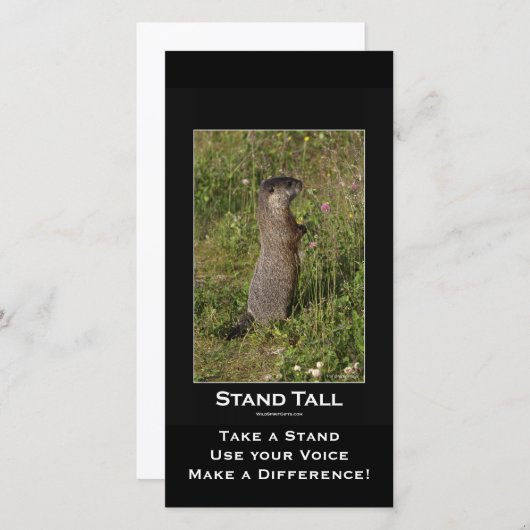 Geel-Bellied Marmot Kaart (Voorkant / Achterkant)