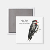 Geel-Bellied Sapsucker Magneet (Voorkant / Achterkant)