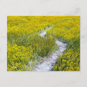 Geel bloemveld briefkaart