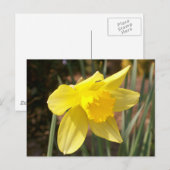 Geel Briefkaart (Voorkant / Achterkant)