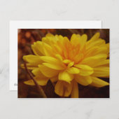 Geel Briefkaart (Voorkant / Achterkant)